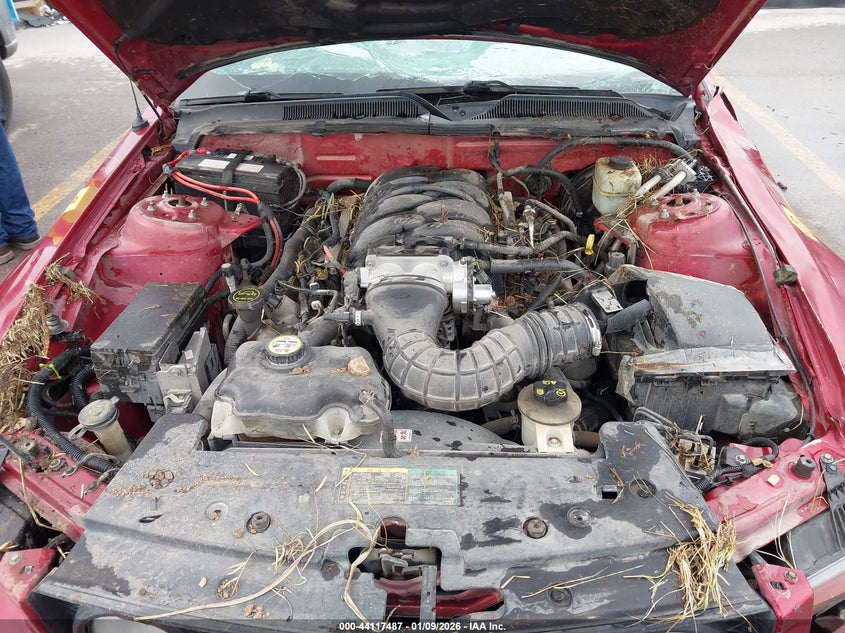 2006 Ford Mustang Gt VIN: 1ZVHT85H665257423 Lot: 44117487