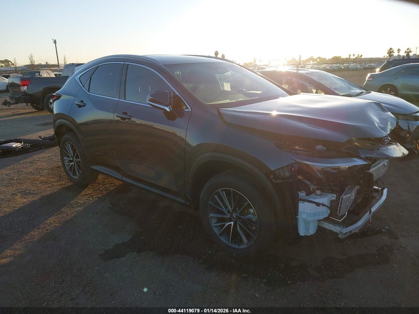 2025 Lexus Nx 250