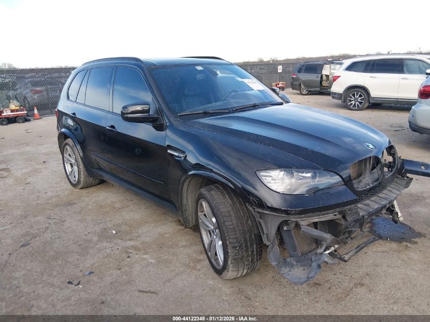 2010 BMW X5