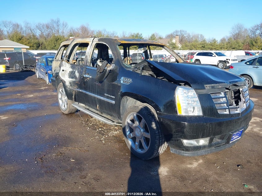 2011 Cadillac Escalade Luxury