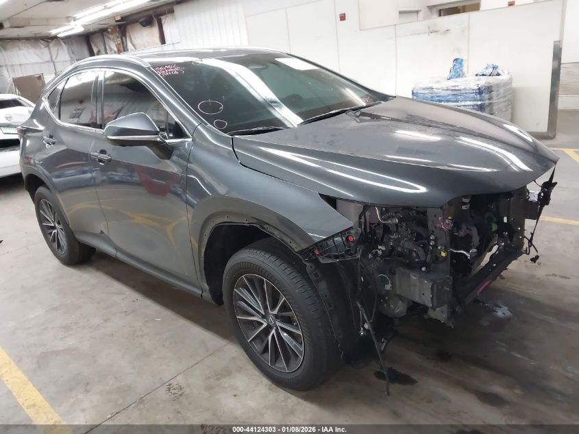 2024 Lexus NX 350