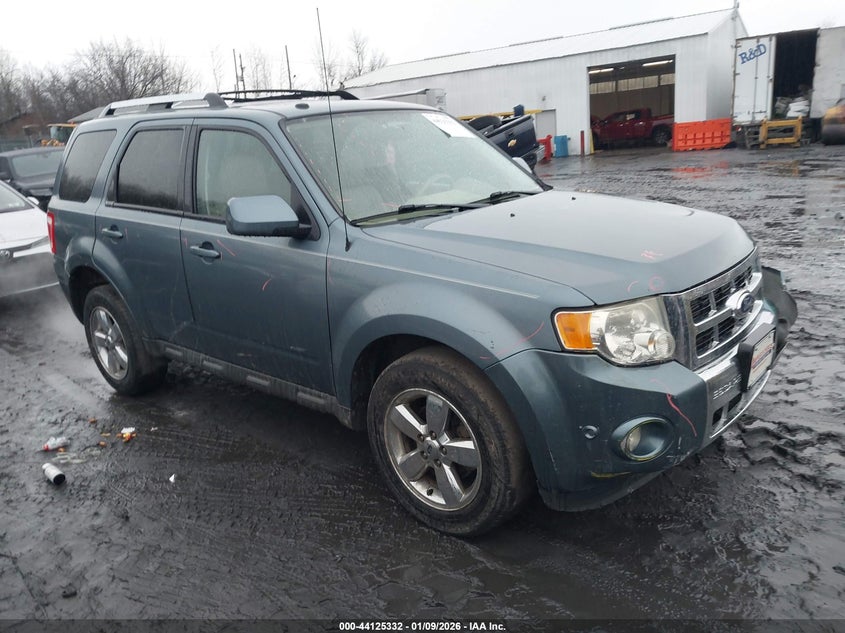 2011 Ford Escape Limited
