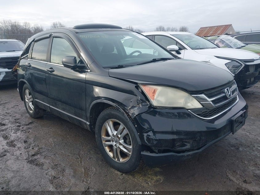 5J6RE4H5XAL057977 2010 Honda Cr-V Ex auction photo 1