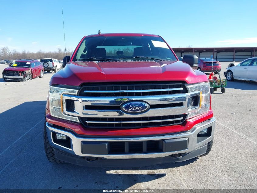 2019 Ford F-150 Xlt VIN: 1FTEW1EP5KKC83437 Lot: 44128267