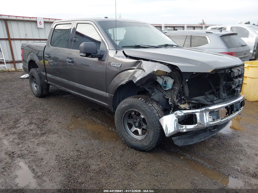 1FTEW1E85FKE31603 2015 Ford F-150 Xlt auction photo 1