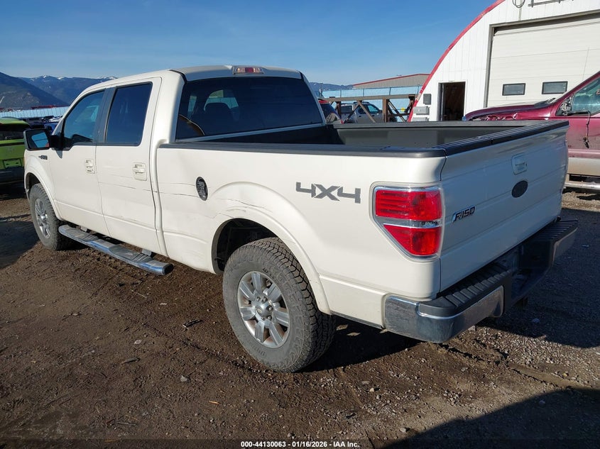 2009 Ford F-150 Fx4/King Ranch/Lariat/Platinum/Xl/Xlt