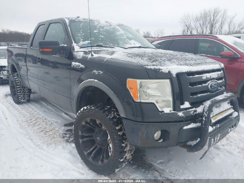 2010 Ford F-150