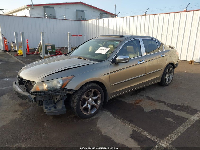 2010 Honda Accord 2.4 Ex-L