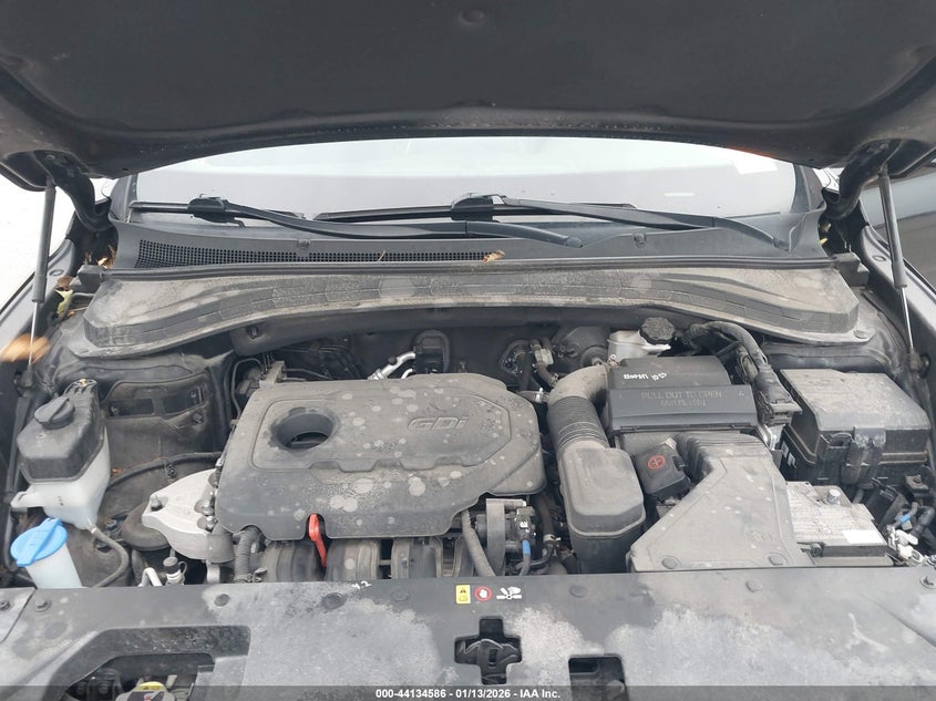 2020 Hyundai Santa Fe Sel VIN: 5NMS3CAD6LH233971 Lot: 44134586