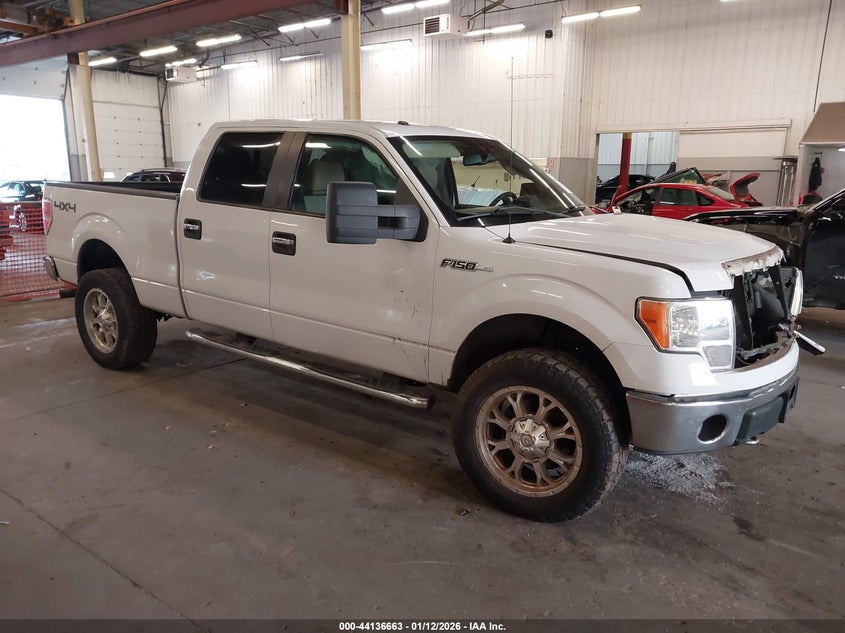 2010 Ford F-150 Fx4/Harley-Davidson/King Ranch/Lariat/Platinum/Xl/Xlt