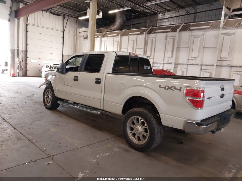 2010 Ford F-150 Fx4/Harley-Davidson/King Ranch/Lariat/Platinum/Xl/Xlt