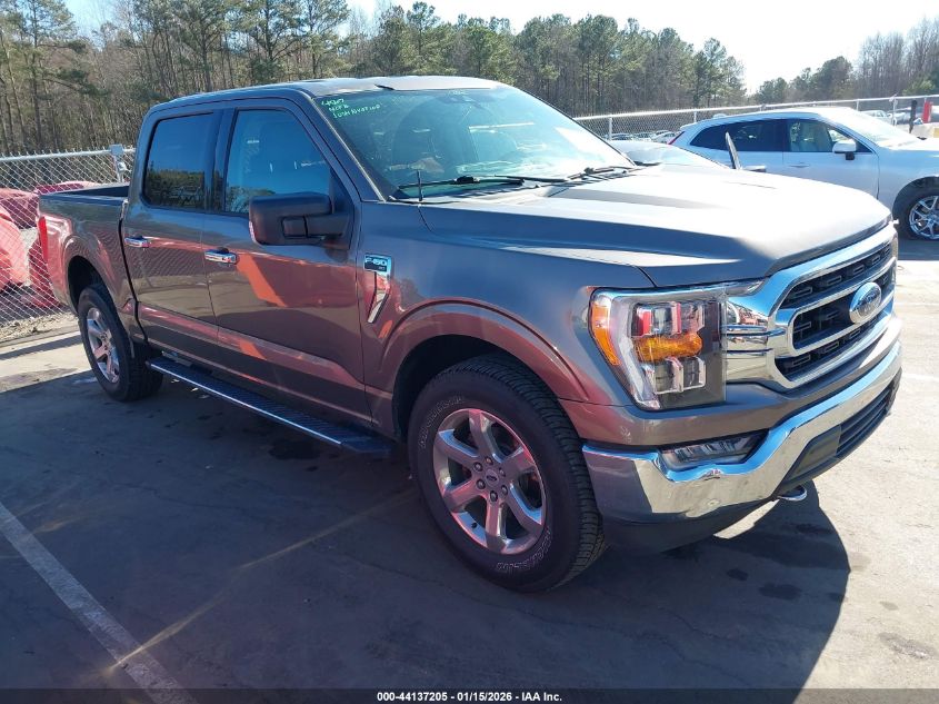 2021 Ford F-150 Xlt