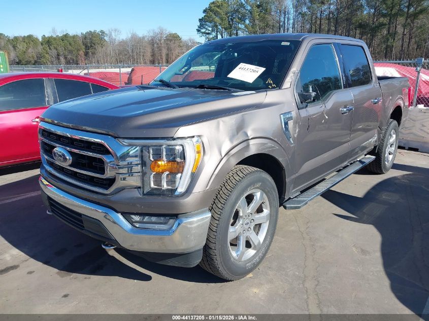 2021 Ford F-150 Xlt