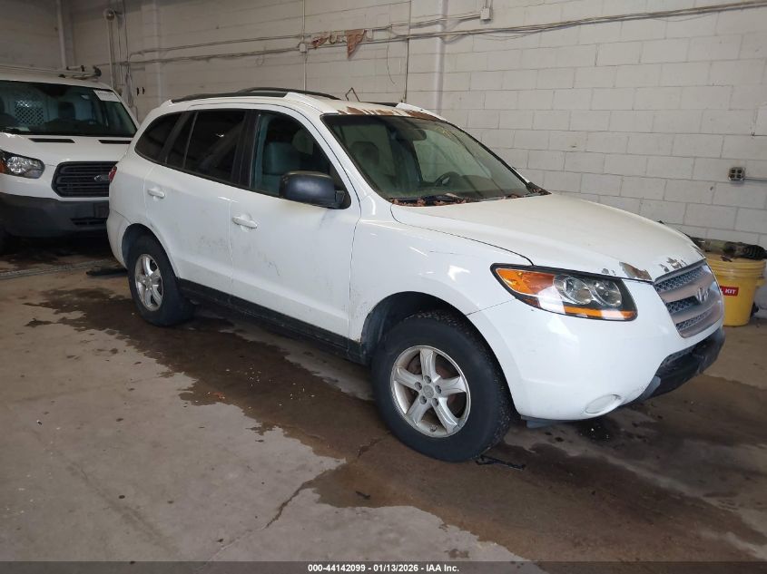 2007 Hyundai Santa Fe