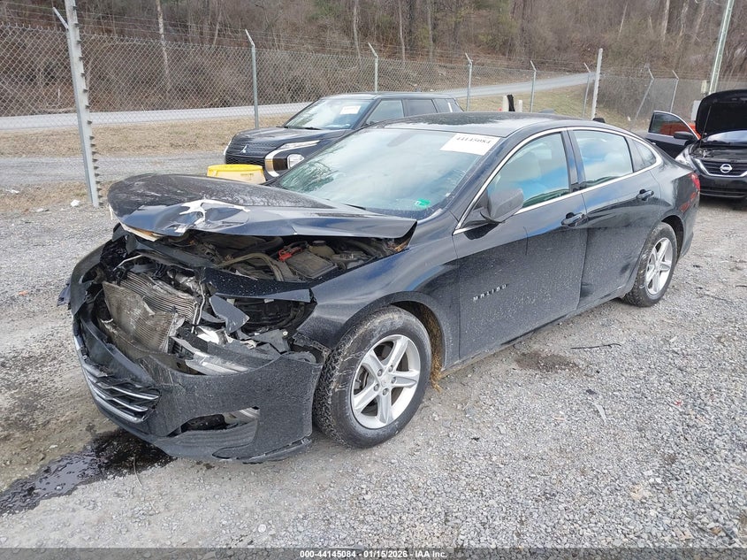 2019 Chevrolet Malibu 1Fl