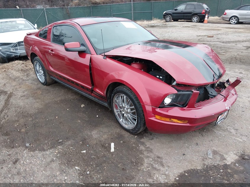 2008 Ford Mustang V6 Deluxe/V6 Premium