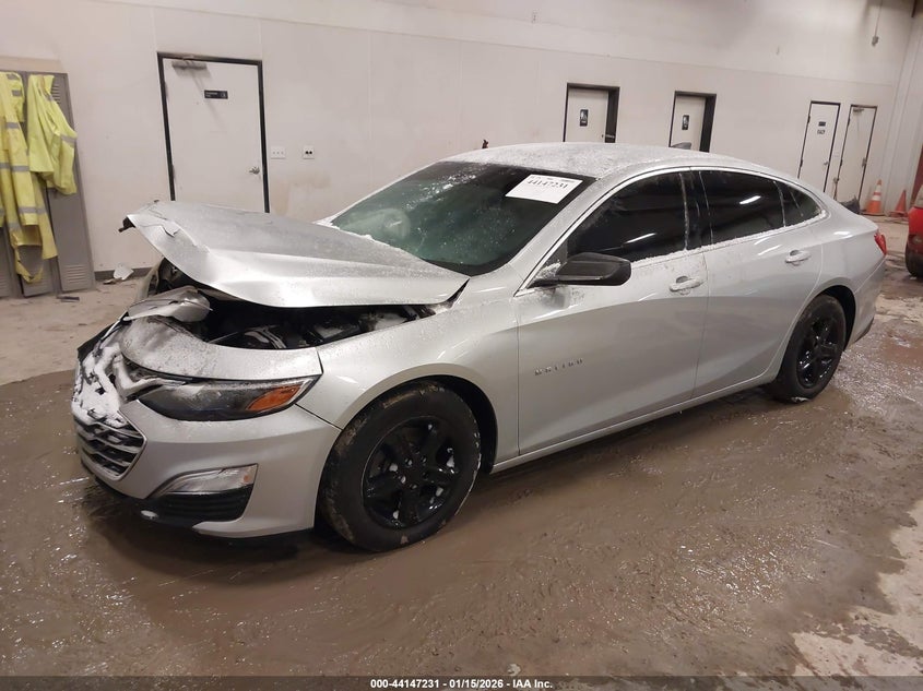 2019 Chevrolet Malibu 1Fl