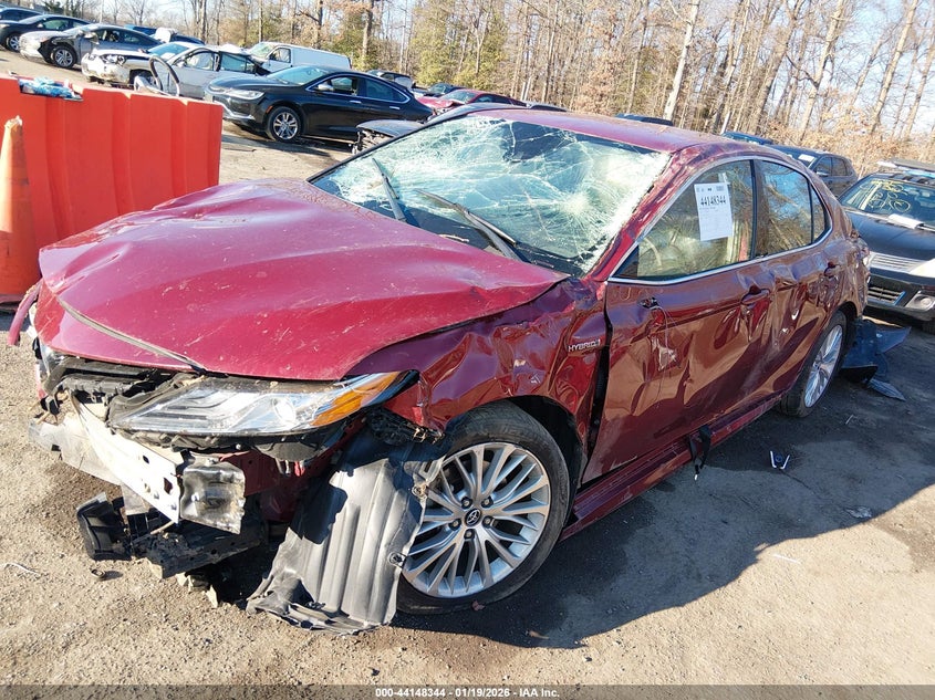 2020 Toyota Camry Xle Hybrid