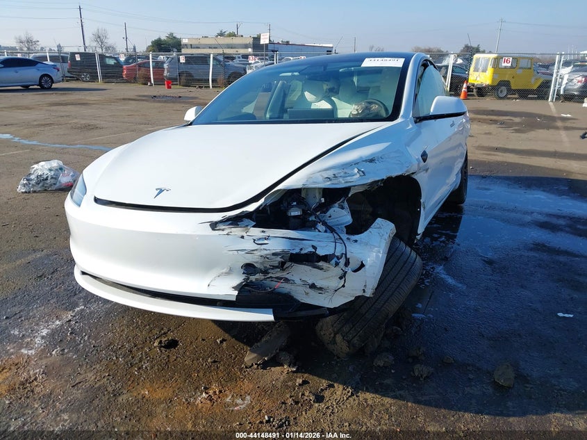 2025 Tesla Model 3 Long Range Rear-Wheel Drive/Standard Rear-Wheel Drive