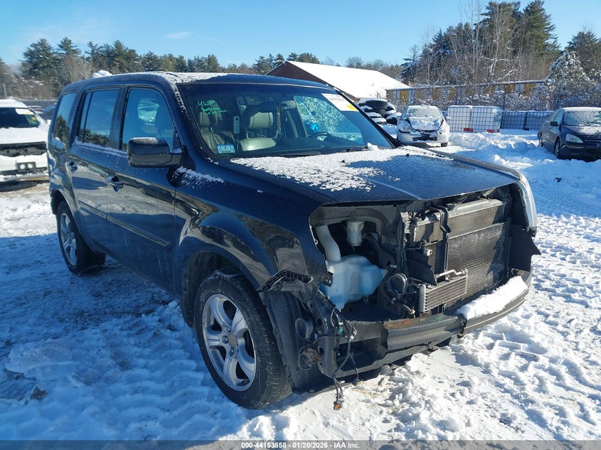 5FNYF4H55FB004323 HONDA PILOT Photo 1