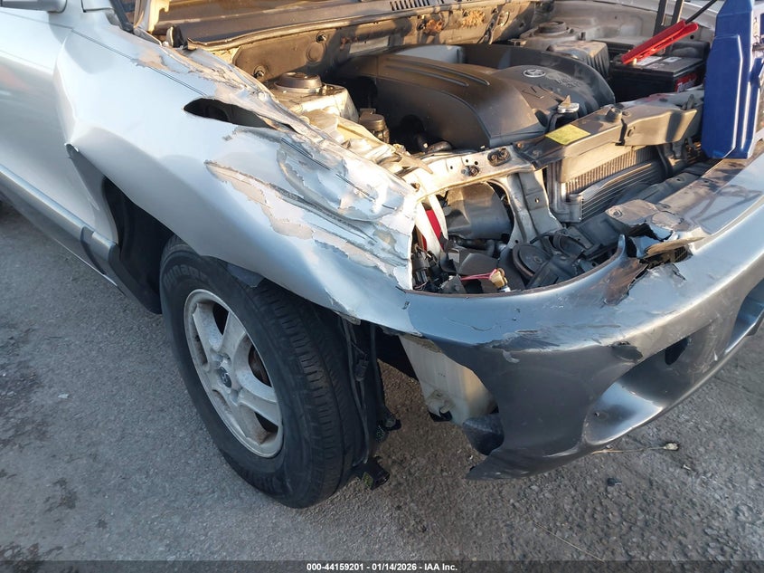 2004 Hyundai Santa Fe Gls VIN: KM8SC13D24U655646 Lot: 44159201