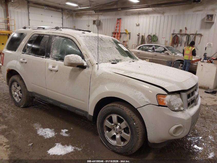 2010 Ford Escape