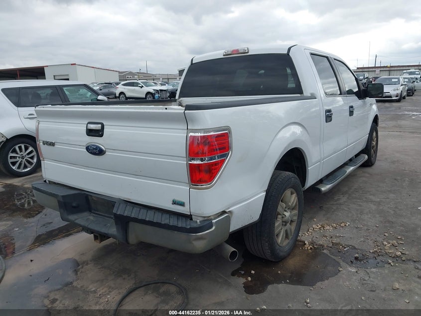 2010 Ford F-150 Fx2 Sport/Harley-Davidson/King Ranch/Lariat/Platinum/Xl/Xlt
