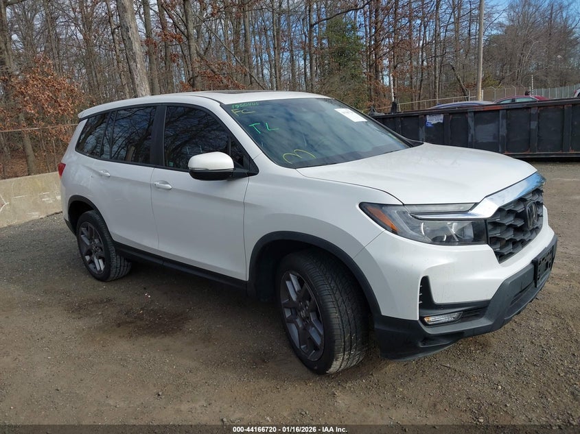 5FNYF8H55PB010258 HONDA PASSPORT Photo 1