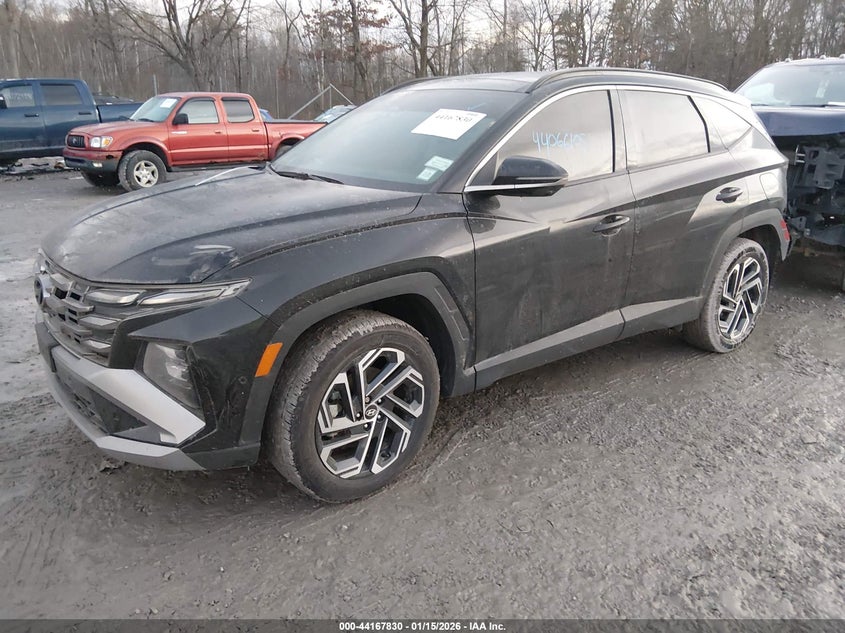 2025 Hyundai Tucson Limited