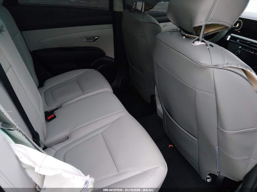 2025 Hyundai Tucson Limited VIN: 5NMJECDE3SH465422 Lot: 44167830