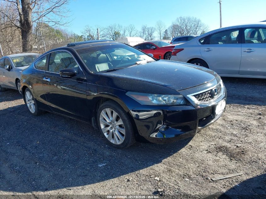 2010 Honda Accord