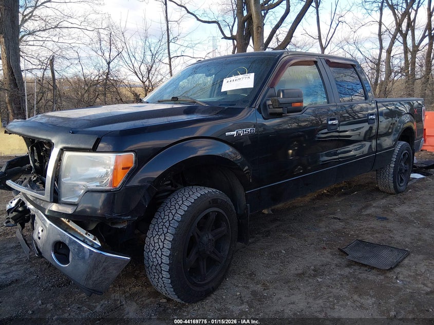 2010 Ford F-150 Xl/Xlt