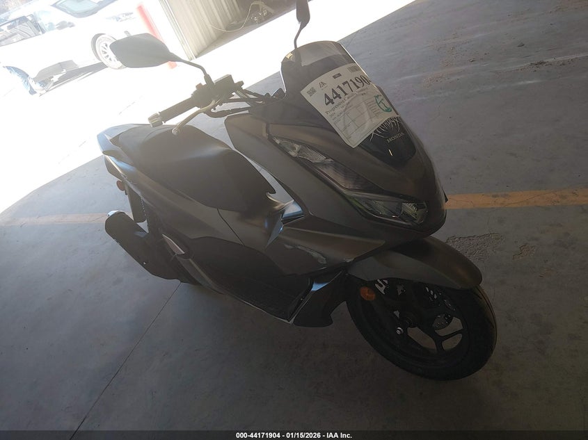 HONDA WW160 A 2024