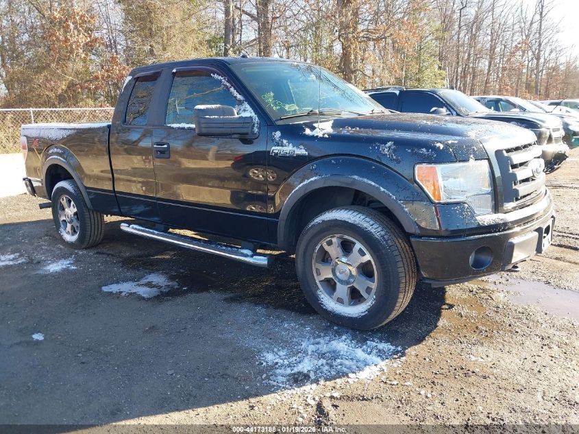 2010 Ford F-150 Fx4/Lariat/Xl/Xlt