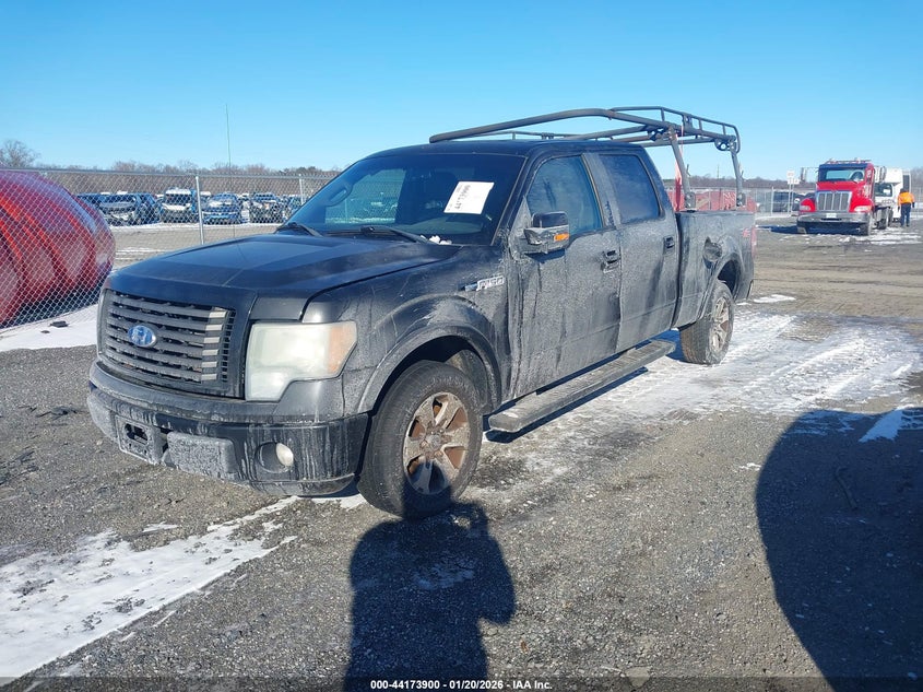 2010 Ford F-150 Fx2 Sport/Harley-Davidson/King Ranch/Lariat/Platinum/Xl/Xlt
