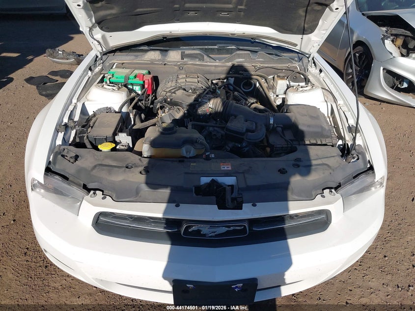 2012 Ford Mustang 3.7 V6 Premium white Lot 111044174501 Vin 1ZVBP8AM6C5270875