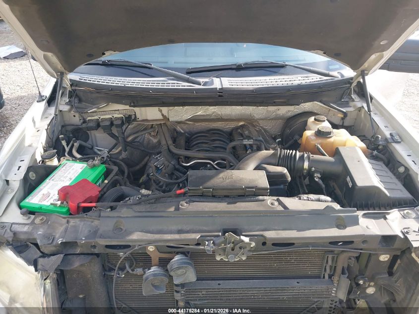 2013 Ford F-150 Stx VIN: 1FTFX1CF3DFB96062 Lot: 44175284