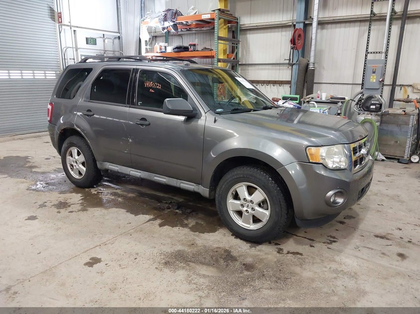 2010 Ford Escape Xlt