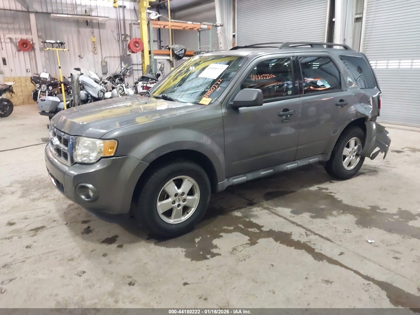 2010 Ford Escape Xlt
