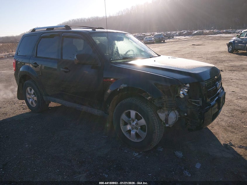 2010 Ford Escape Limited