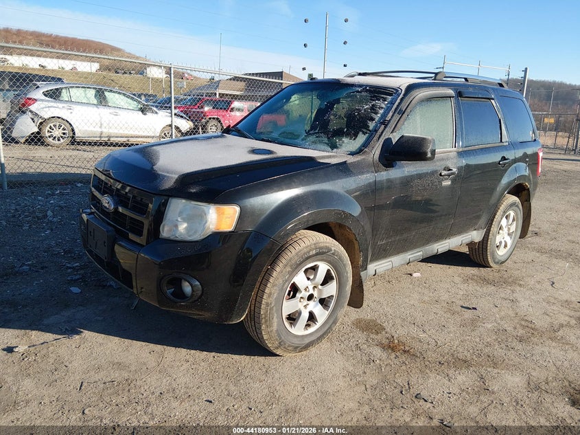 2010 Ford Escape Limited