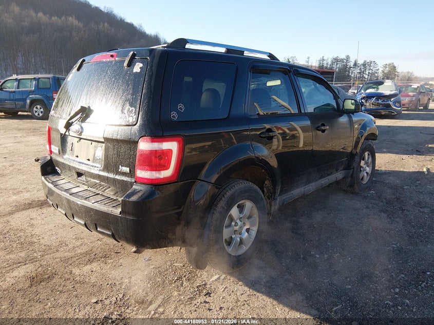 2010 Ford Escape Limited