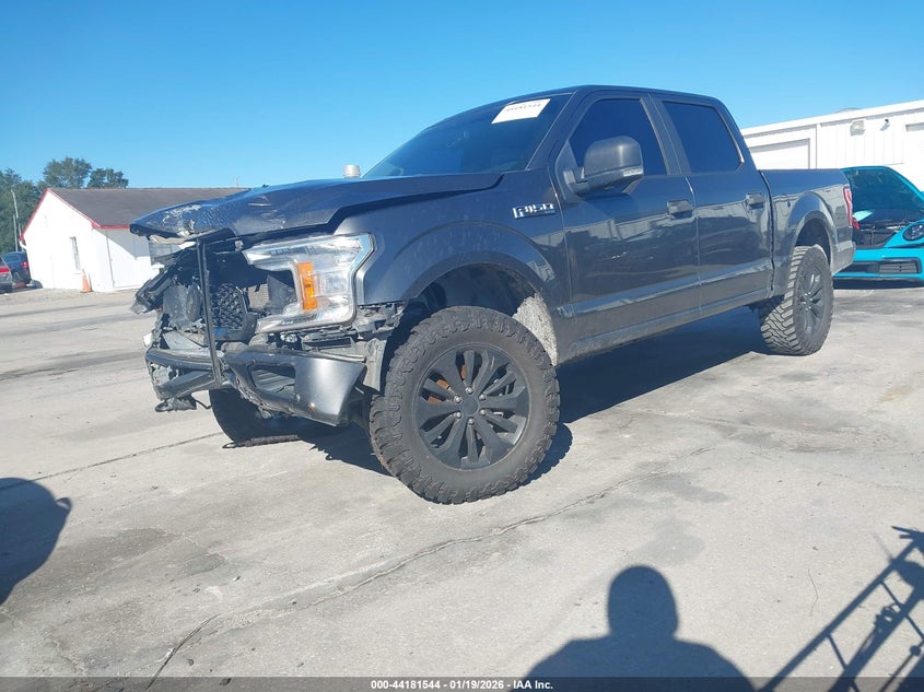 2019 Ford F-150 Xl