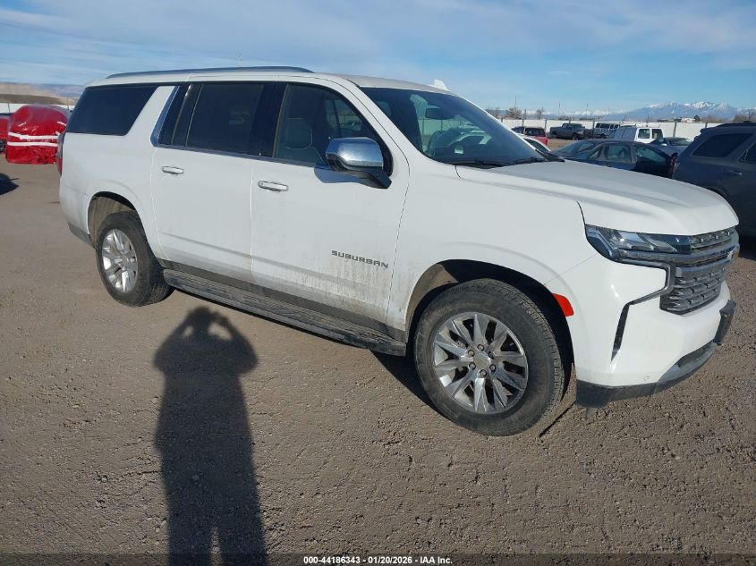 2024 Chevrolet Suburban