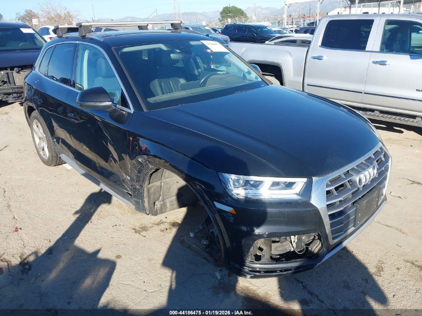 2019 Audi Q5