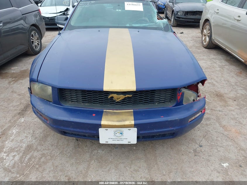 AtlanticExpress - Ford Mustang