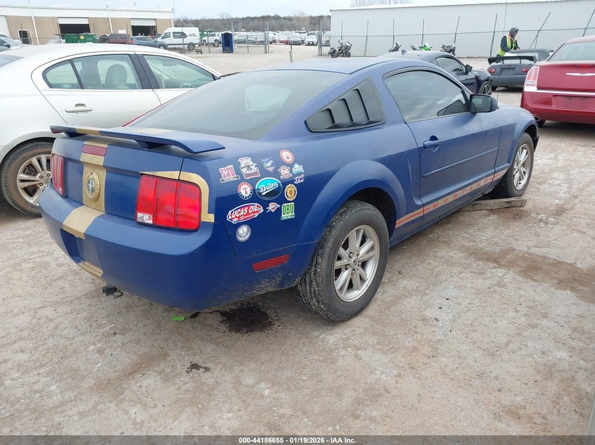 AtlanticExpress - Ford Mustang