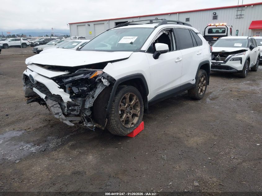 2023 Toyota Rav4 Hybrid Woodland Edition