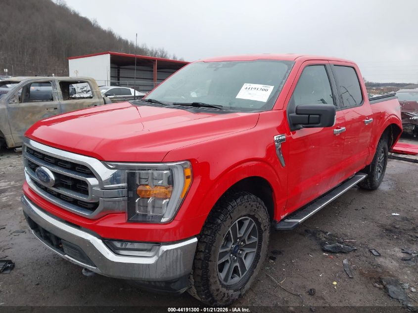 2022 Ford F-150 Xlt