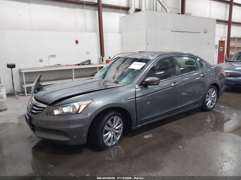 2011 Honda Accord 2.4 Ex-L